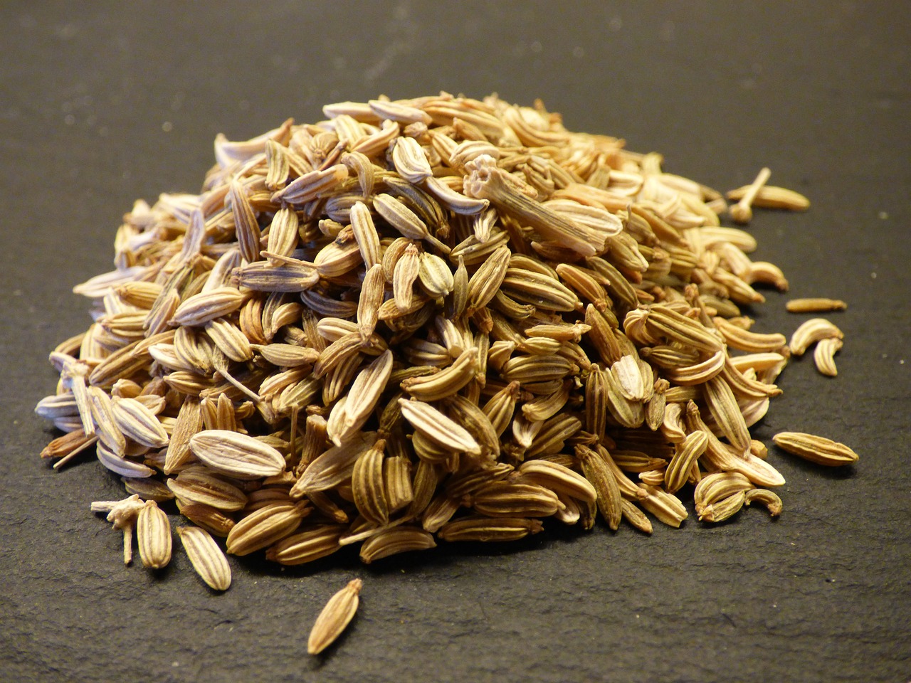 fennel, seeds, aromatic plant