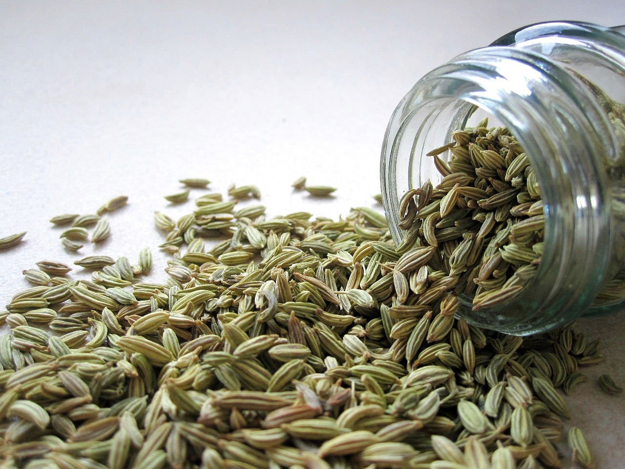 Discover the Benefits of Organic Fennel Seeds with Amafhh Overseas